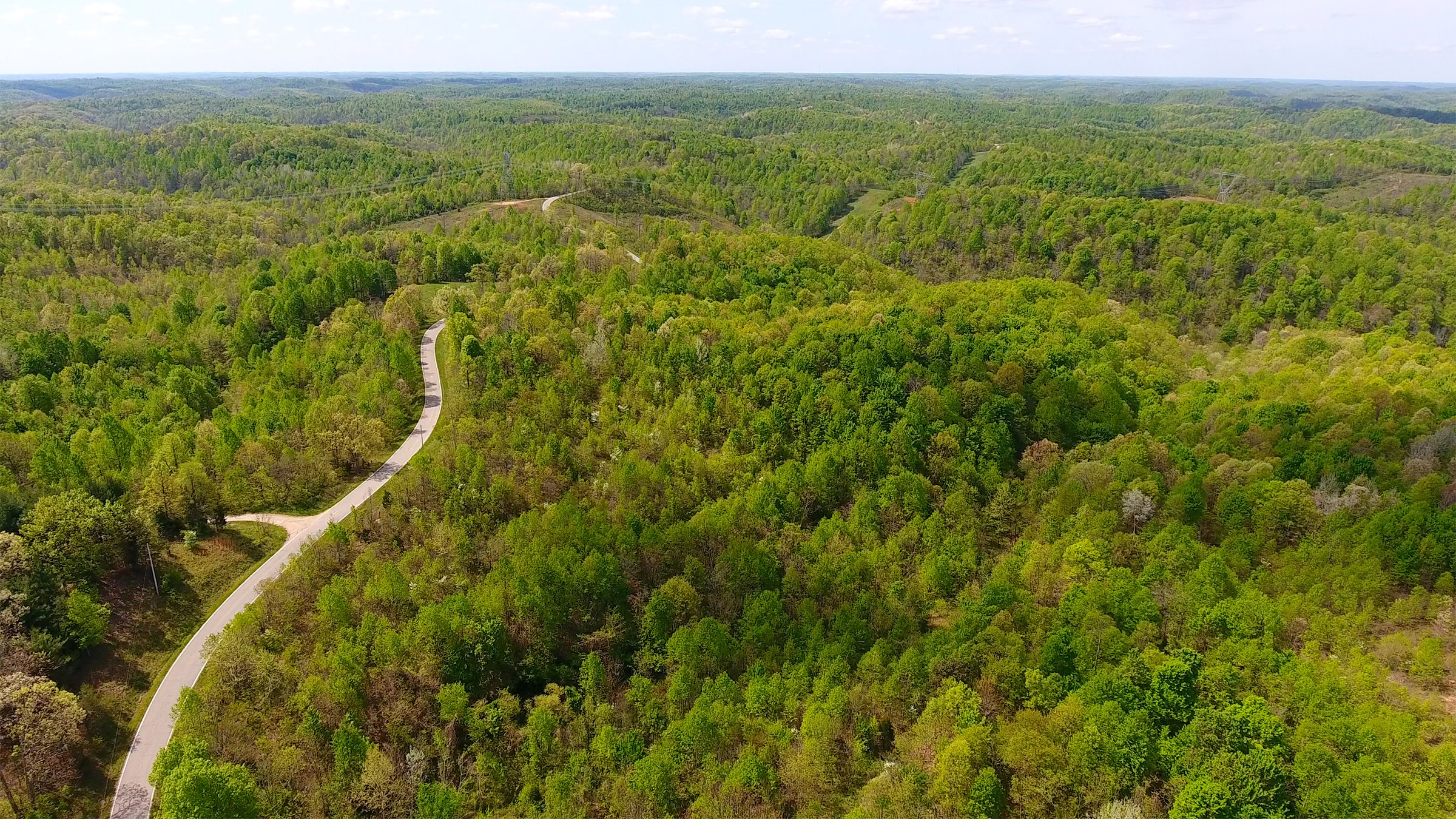 Property photo 9 - LAND AUCTION - 1,682+/- ACRES OFFERED IN 17 TRACTS IN LEWIS & GREENUP COUNTIES, KENTUCKY